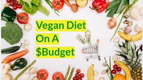 vegan diet on a budget