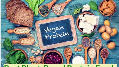 best plant-based protein foods