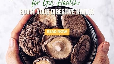 Discover the Best Mushrooms for Gut Health Boost Your Digestive Health