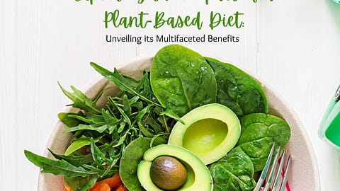 Exploring the Impact of a Plant-Based Diet Unveiling its Multifaceted Benefits