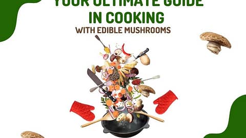 Your Ultimate Guide in Cooking with Edible Mushrooms