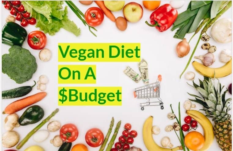 vegan diet on a budget