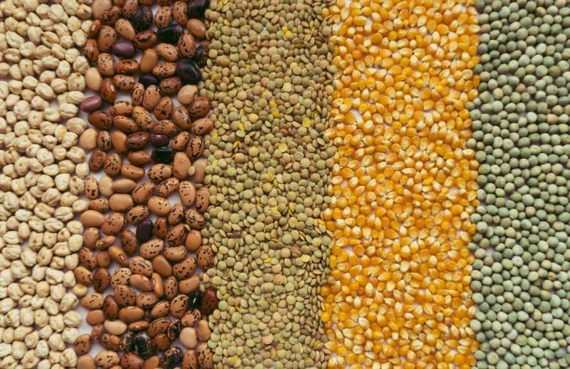 Anti-Nutrients in Nuts and Seeds