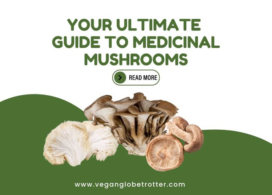 Your Ultimate Guide to Medicinal Mushrooms