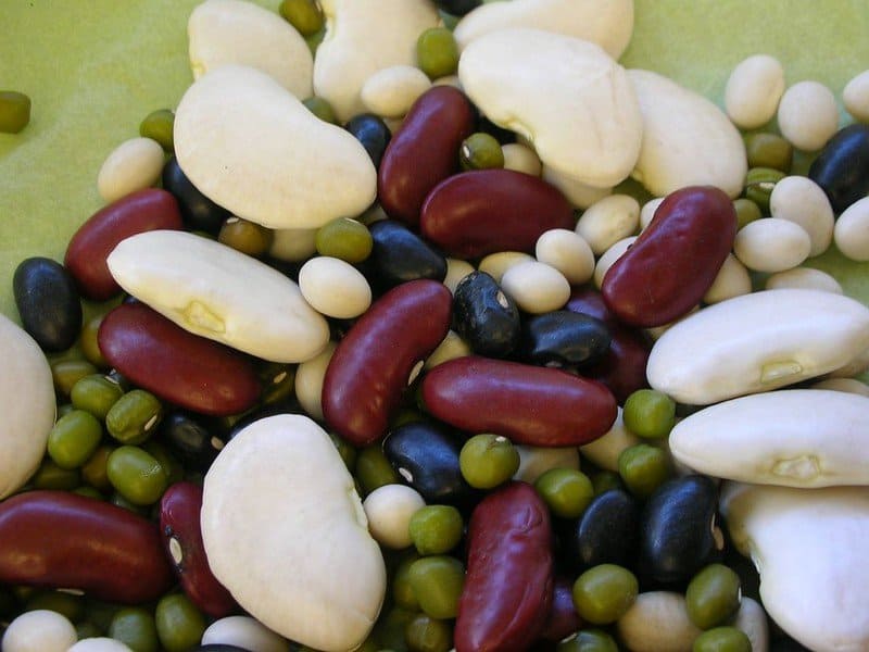 Health Benefits of Eating Beans / Flickr / Stephalicious