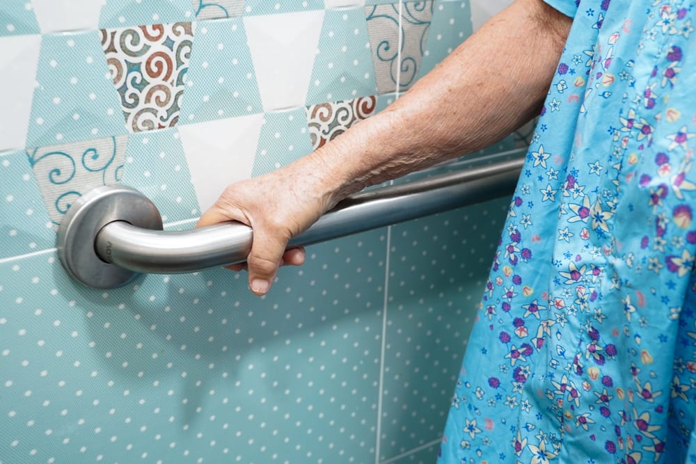 best shower grab bars