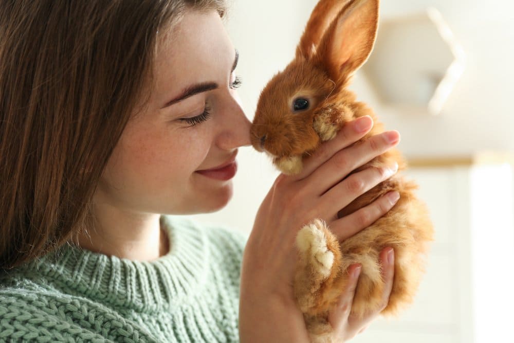 pick up a rabbit