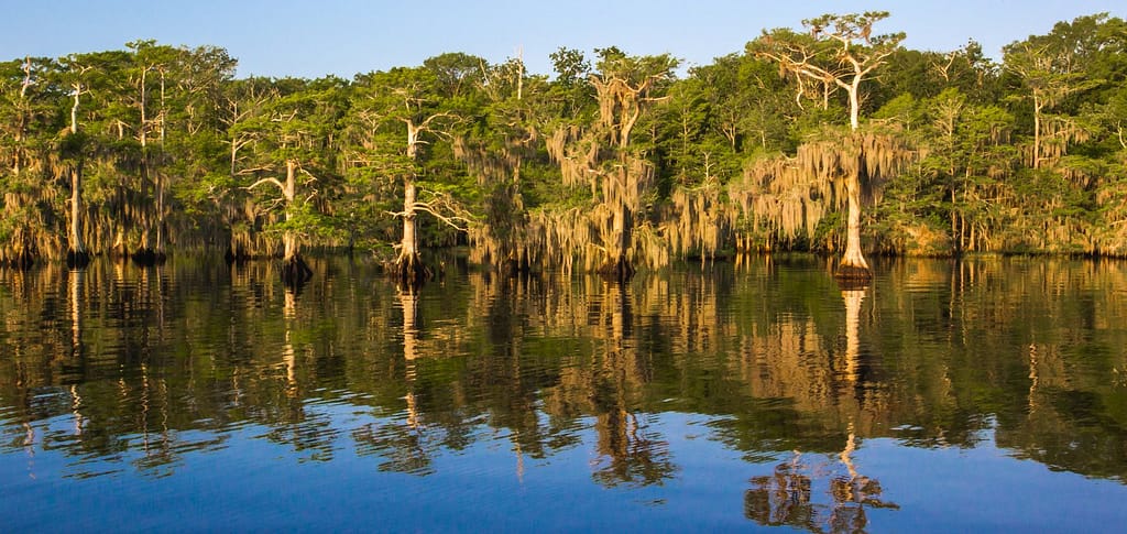 Best Lakes in Florida
