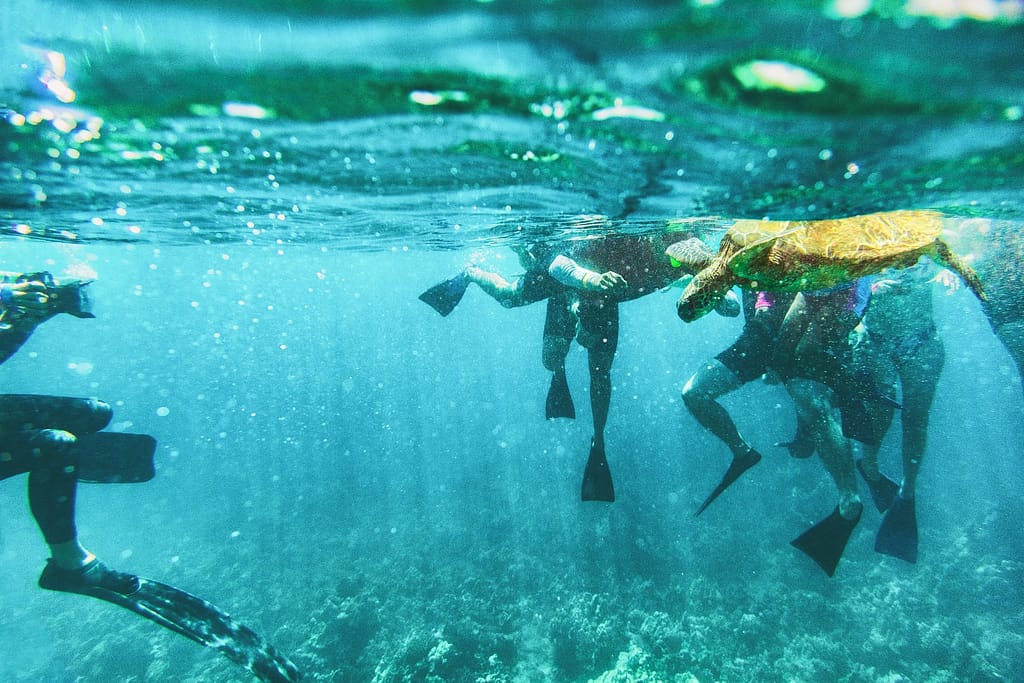 snorkeling in Florida Keys