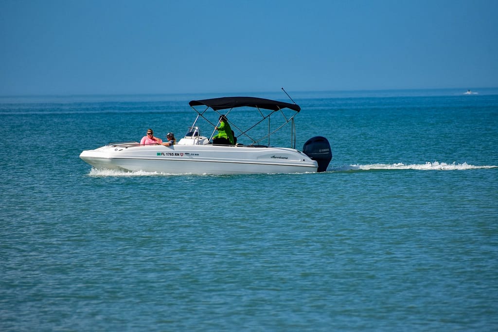 Clearwater Marine Beach Dolphin Boat Tours