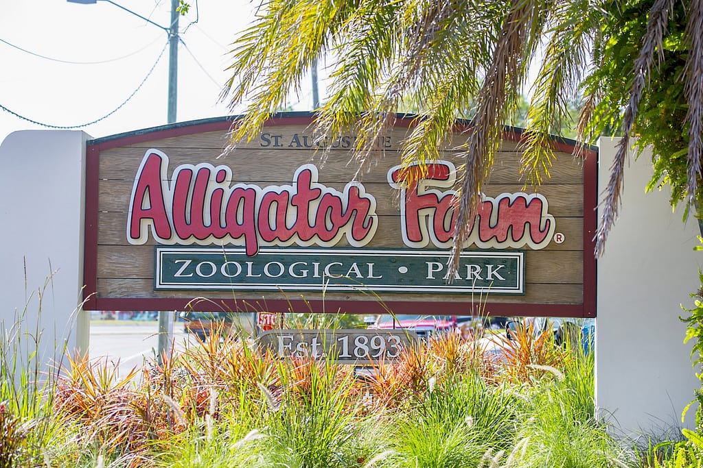 St. Augustine Alligator Park