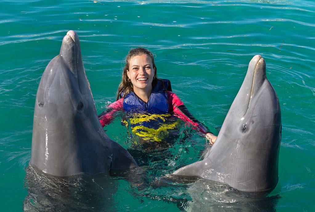 Swimming with Dolphins at Sanibel Island