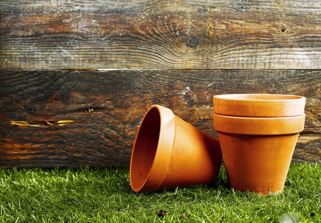 types of plant pots