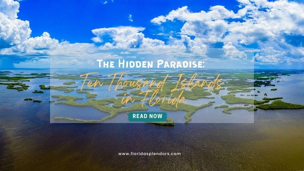 The Hidden Gem: Ten Thousand Islands in Florida