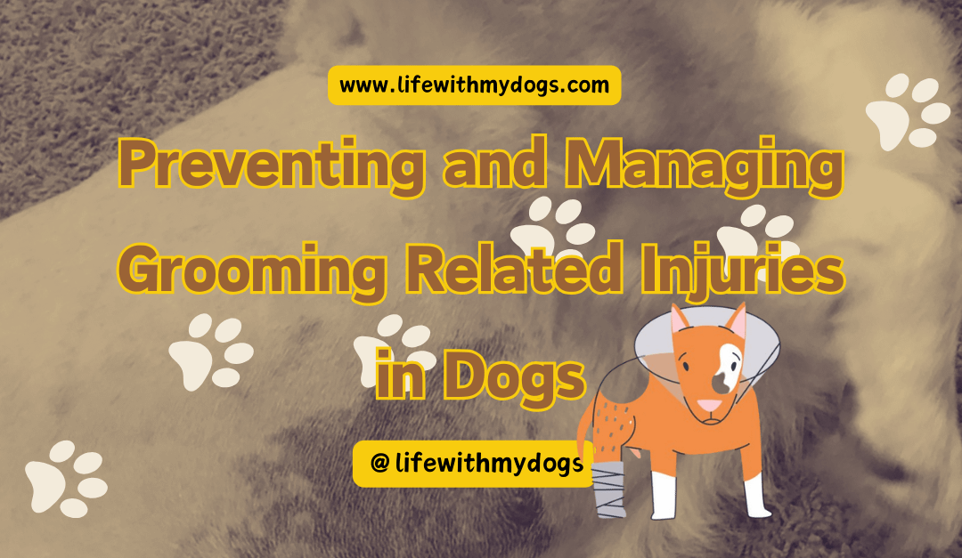 Preventing and Managing Grooming Related Injuries in Dogs