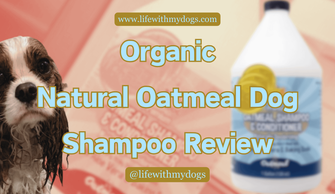 Organic Natural Oatmeal Dog Shampoo Review