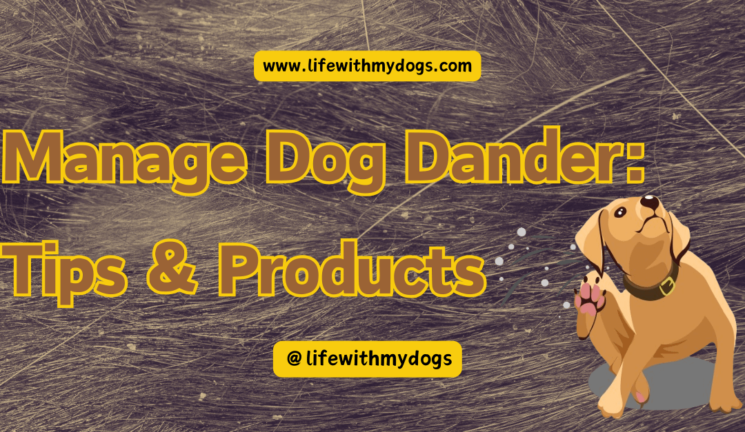 Manage Dog Dander: Tips & Products