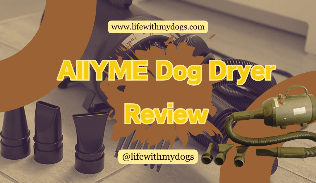 AIIYME Dog Dryer Review