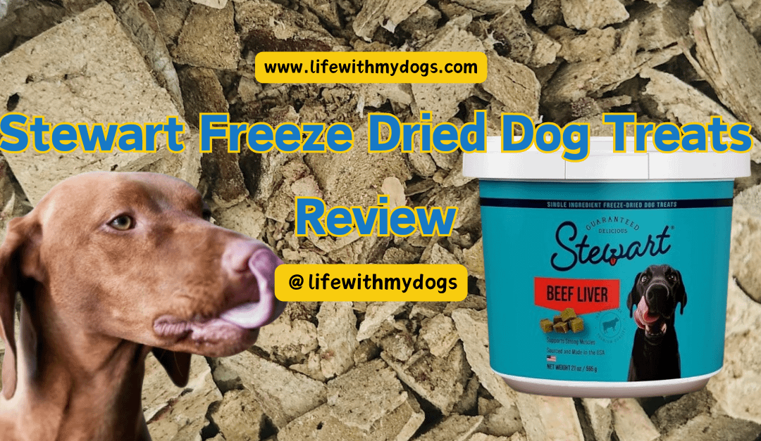 Stewart Freeze Dried Dog Treats Review