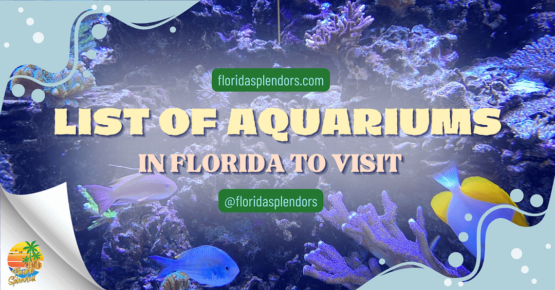 List Of Aquariums