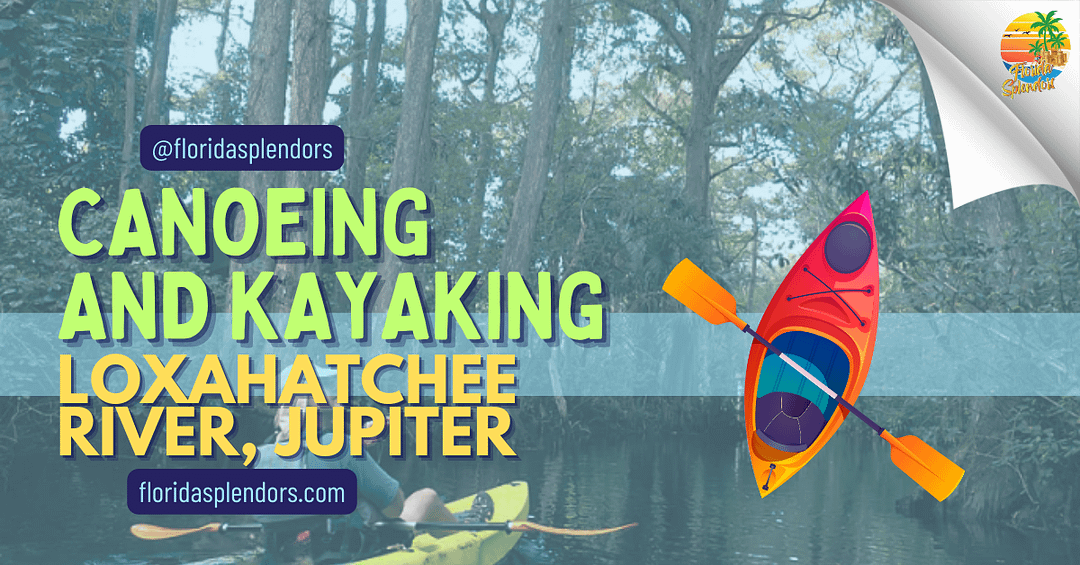 Canoeing and Kayaking Loxahatchee River, Jupiter