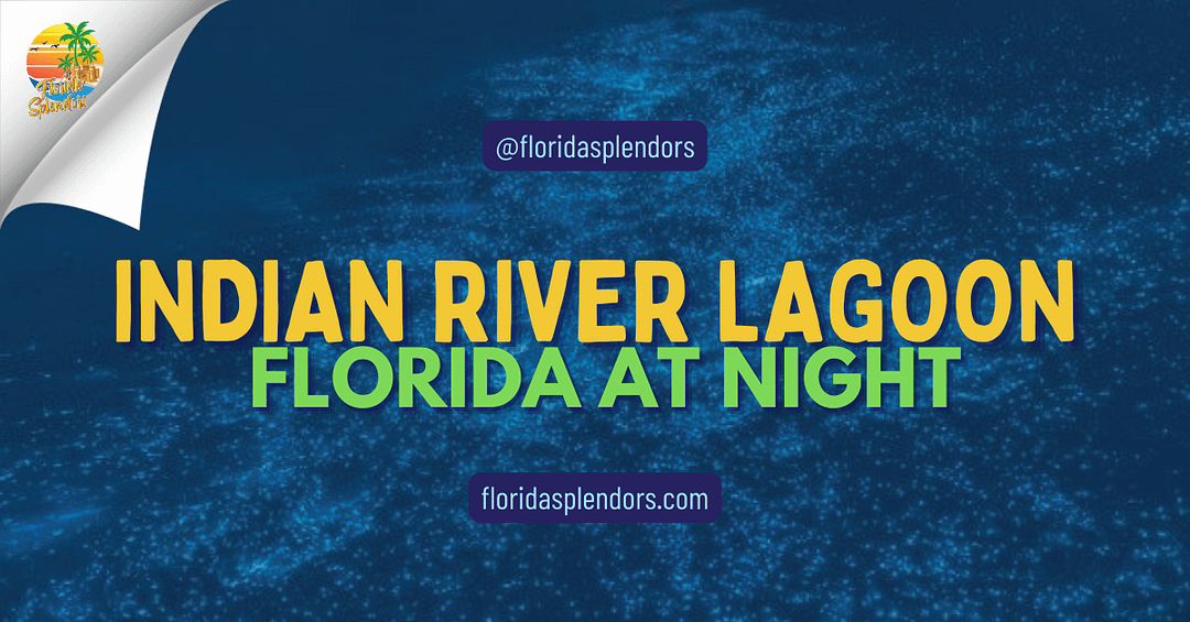 Indian River Lagoon Florida at Night