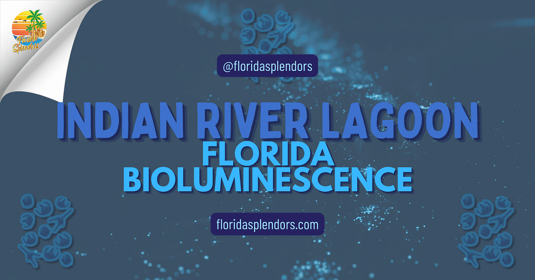 Indian River Lagoon Florida Bioluminescence