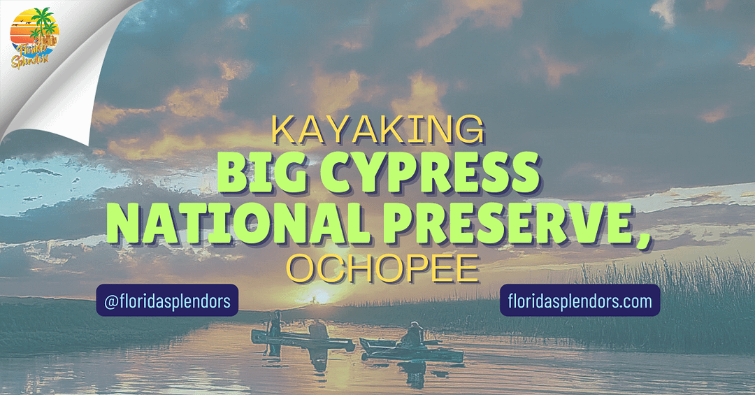 Kayaking Big Cypress National Preserve, Ochopee