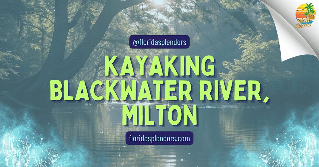 Kayaking Blackwater River, Milton