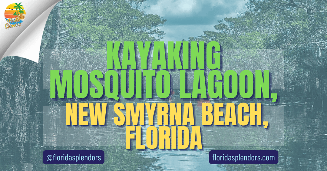 Kayaking Mosquito Lagoon, New Smyrna Beach, Florida