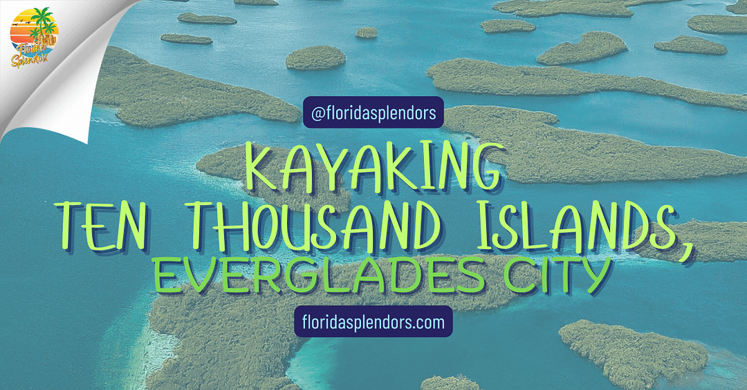 Kayaking Ten Thousand Islands, Everglades City