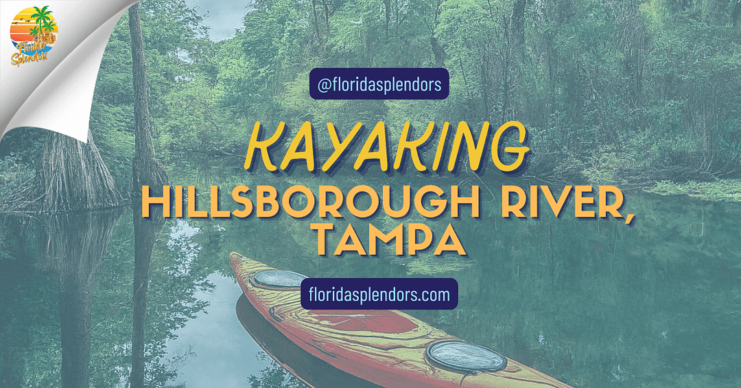 Kayaking Hillsborough River, Tampa