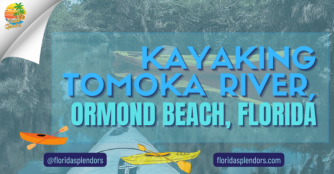 Kayaking Tomoka River, Ormond Beach, Florida