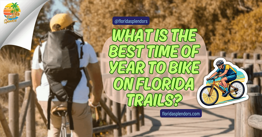 What Is The Best Time Of Year To Bike On Florida Trails?