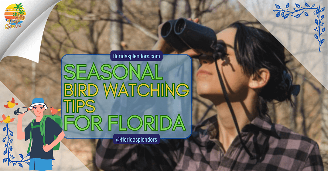 Seasonal Bird Watching Tips for Florida