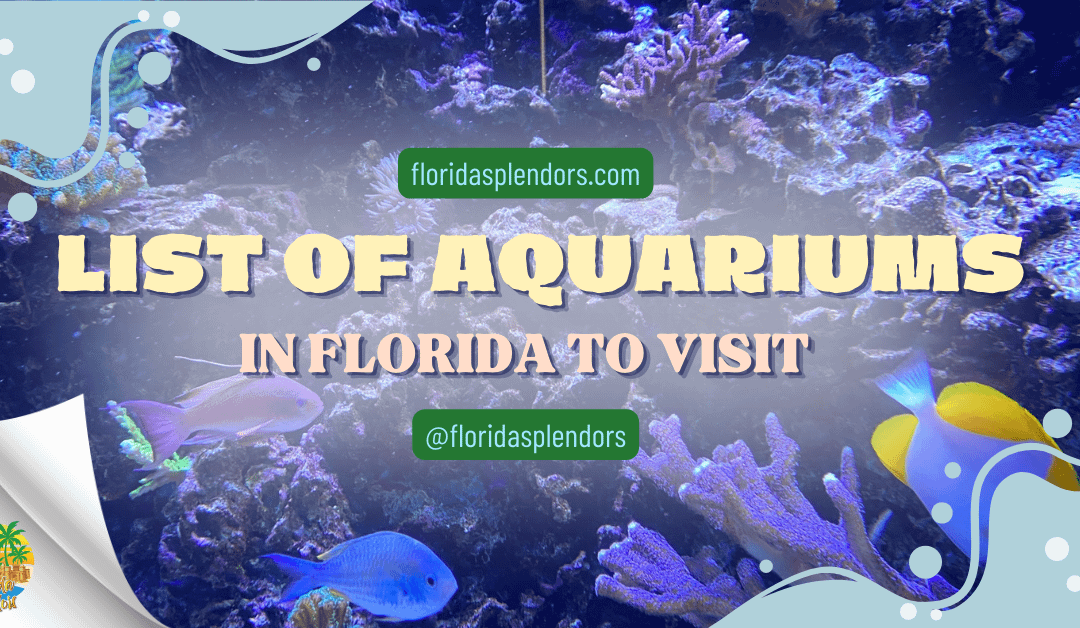 List Of Aquariums