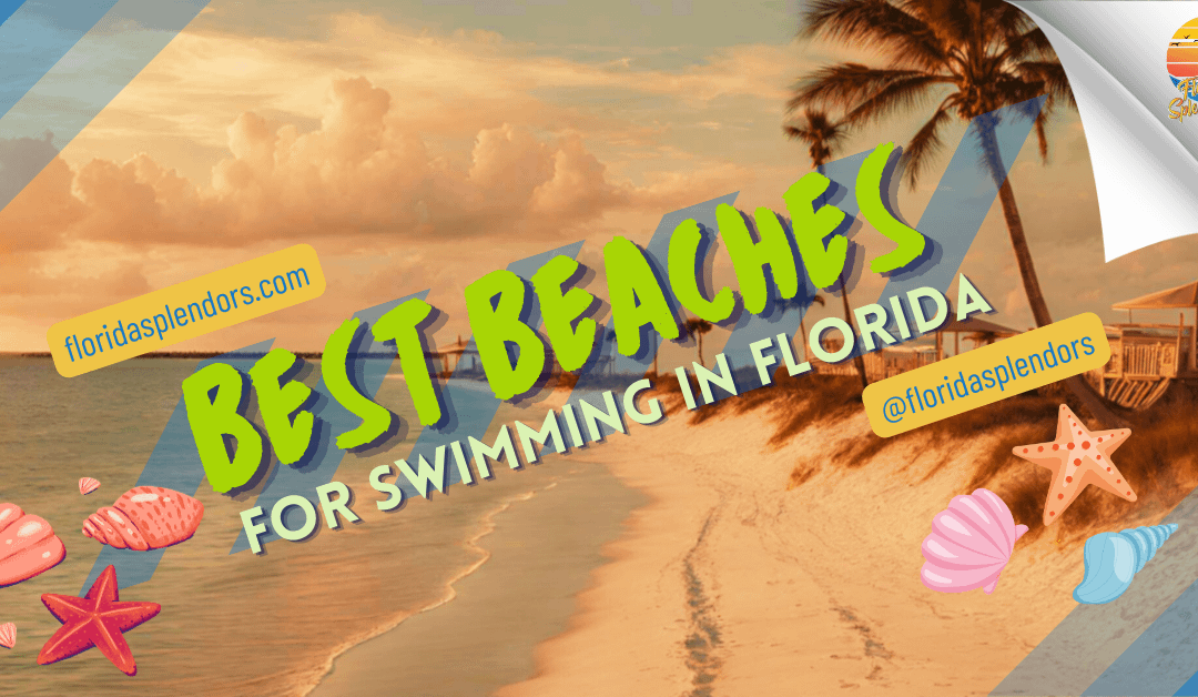 Best Beaches for Swimming in Florida in 2024