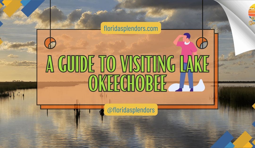 A Guide to Visiting Lake Okeechobee