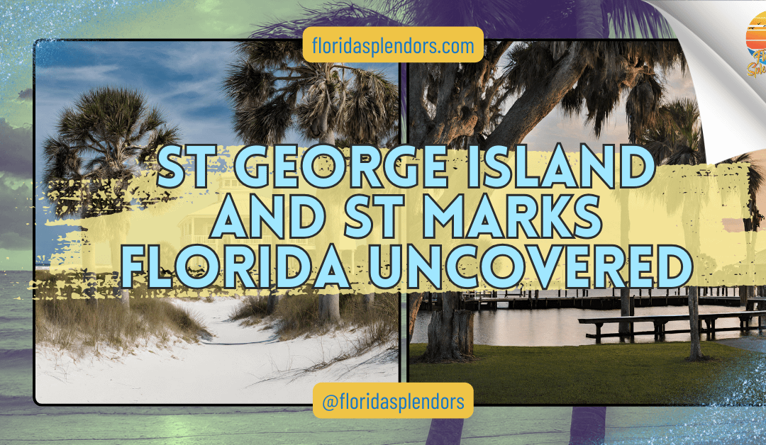 St George Island and St Marks Florida Uncovered