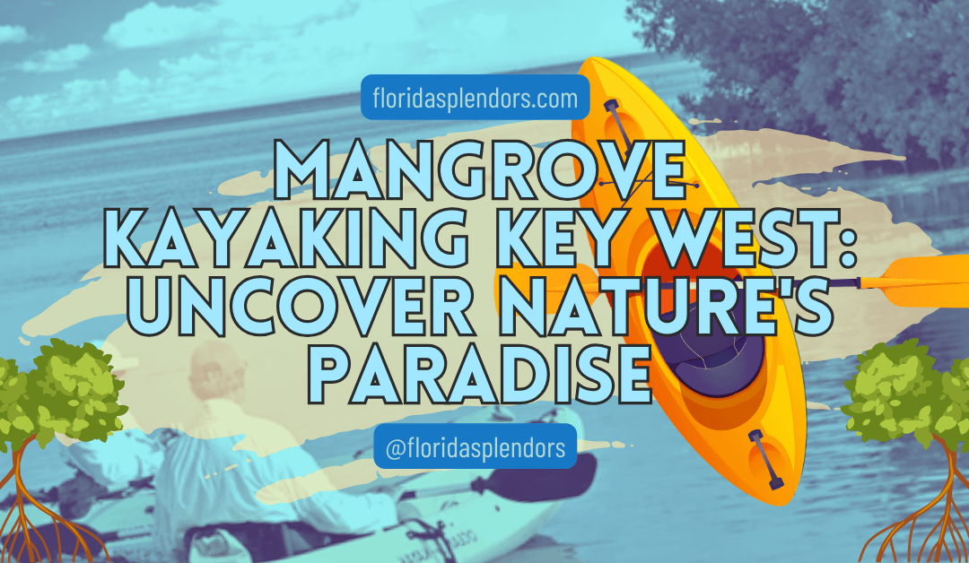 Mangrove Kayaking Key West: Uncover Nature’s Paradise