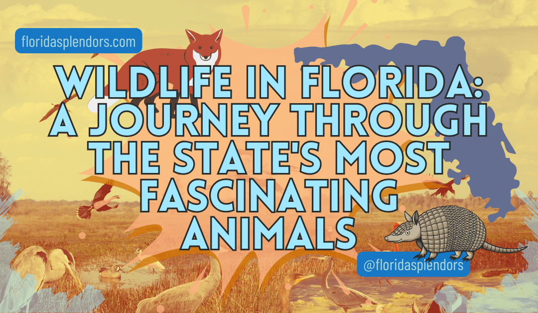 Wildlife in Florida: A Journey Through the State’s Most Fascinating Animals