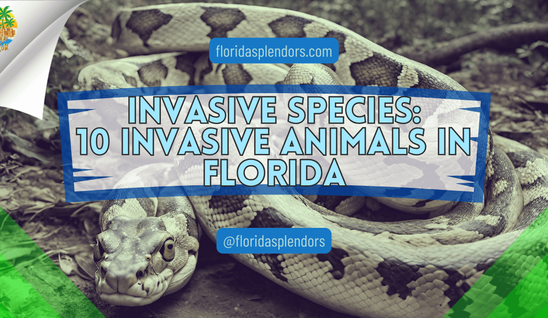 Invasive Species: 10 Invasive Animals in Florida