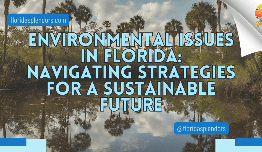 Environmental Issues in Florida: Navigating Strategies for a Sustainable Future