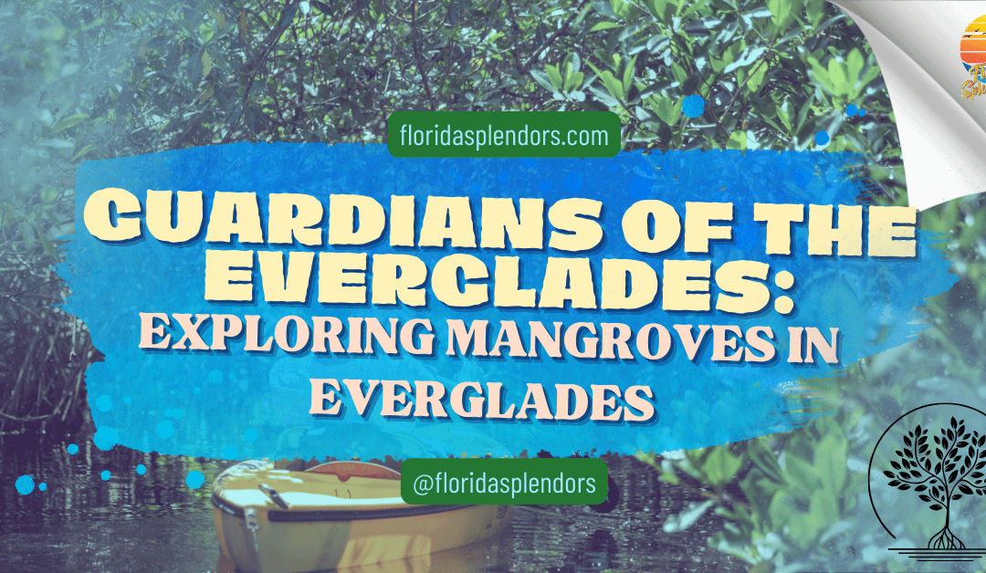 Guardians of the Everglades: Exploring Mangroves in Everglades