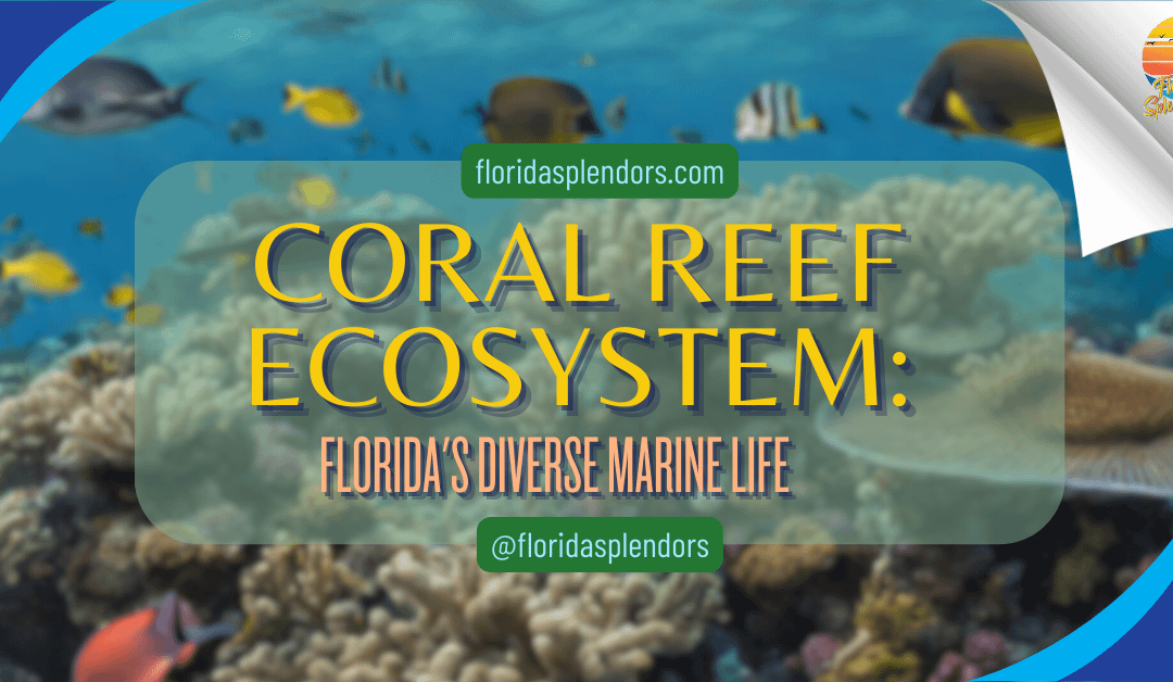 Coral Reef Ecosystem: Florida’s Diverse Marine Life