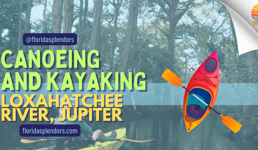 Canoeing and Kayaking Loxahatchee River, Jupiter