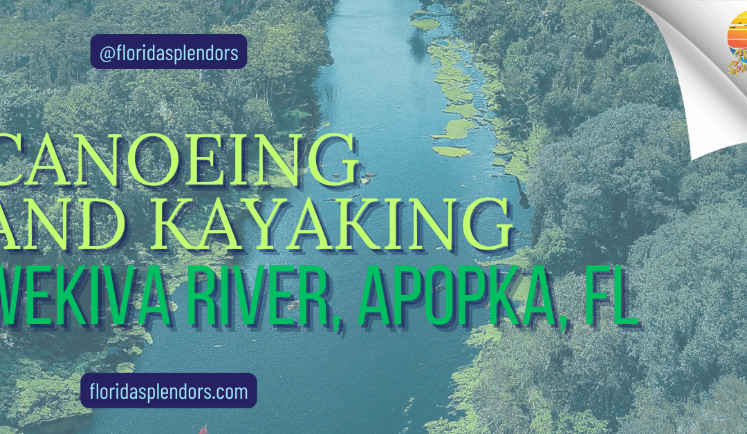 Canoeing and Kayaking Wekiva River, Apopka, FL