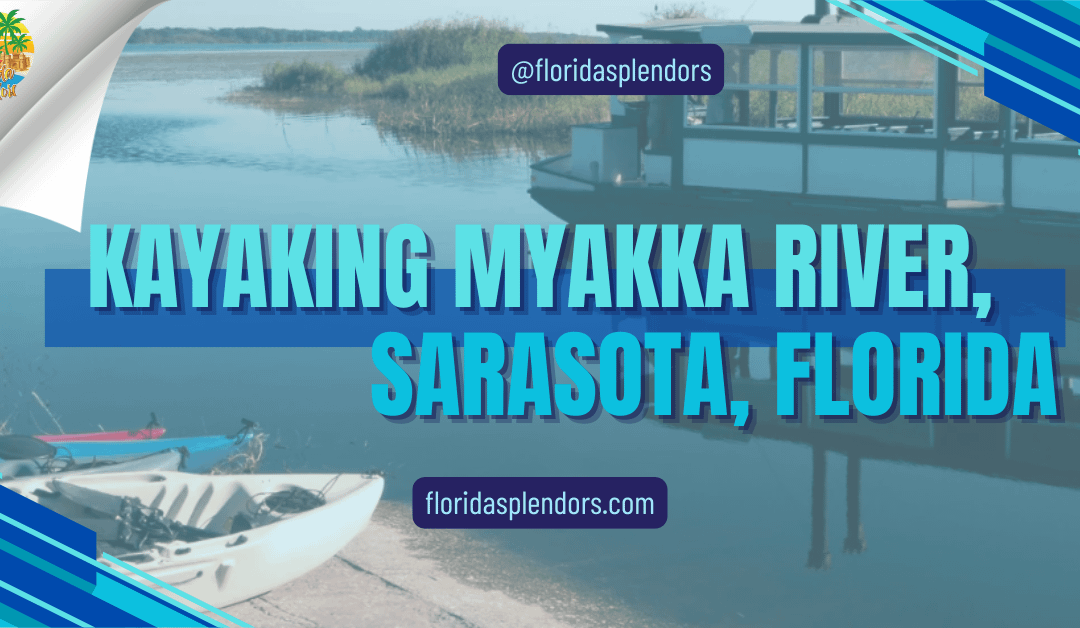 Kayaking Myakka River, Sarasota, Florida