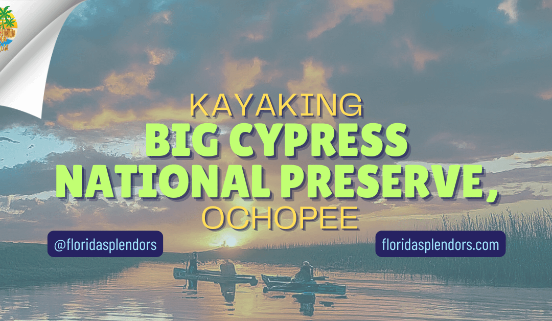 Kayaking Big Cypress National Preserve, Ochopee