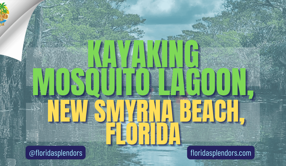 Kayaking Mosquito Lagoon, New Smyrna Beach, Florida